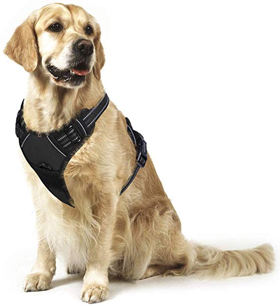 rabbitgo hundegeschirr