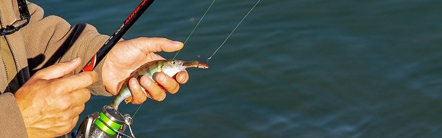 Typen Spinnrollen-Test