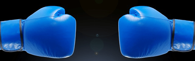 Kriterien eines Boxhandschuhe Tests