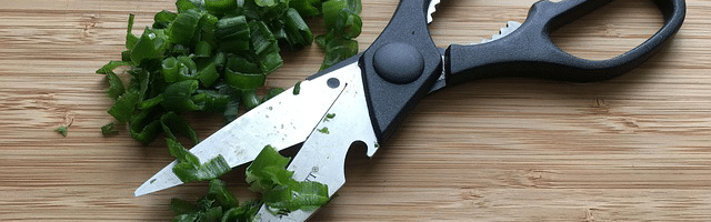 Kriterien im Küchenscheren Test