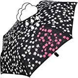 Taschenschirm testsieger