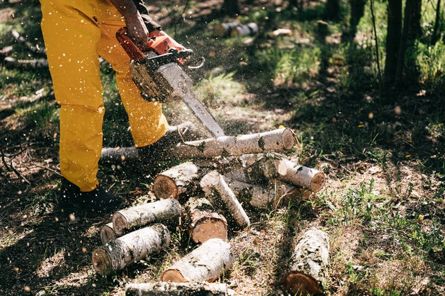 Beleuchtung eines Sägekettenschärgerätes