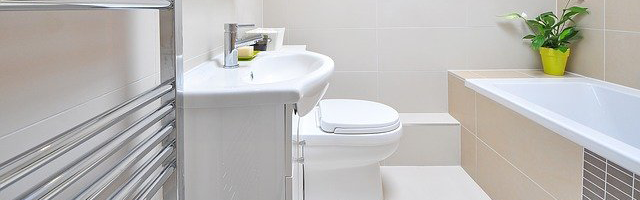 Kriterien im Dusch WC Test